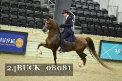 24BUCK_08081 proof