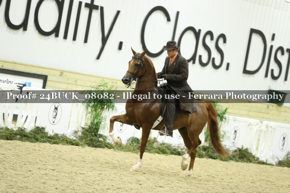 Proof 24BUCK_08082