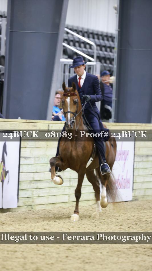 Proof 24BUCK_08083