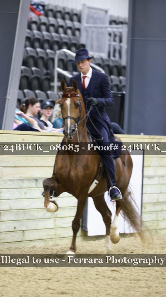Proof 24BUCK_08085