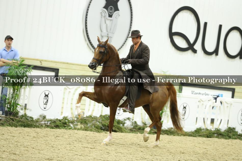Proof 24BUCK_08086