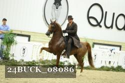 24BUCK_08086 proof