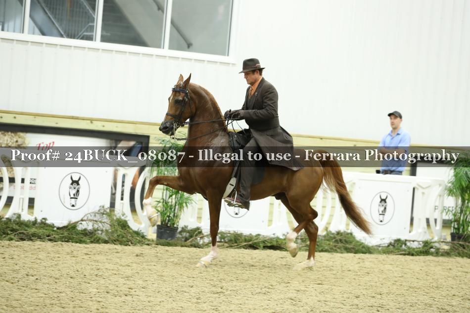 Proof 24BUCK_08087