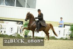 24BUCK_08087 proof