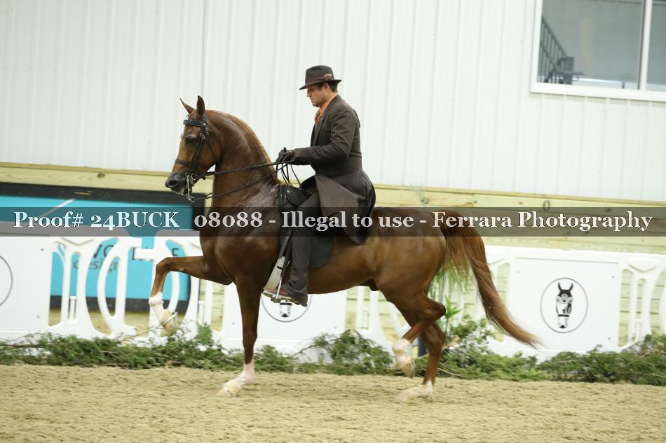 Proof 24BUCK_08088
