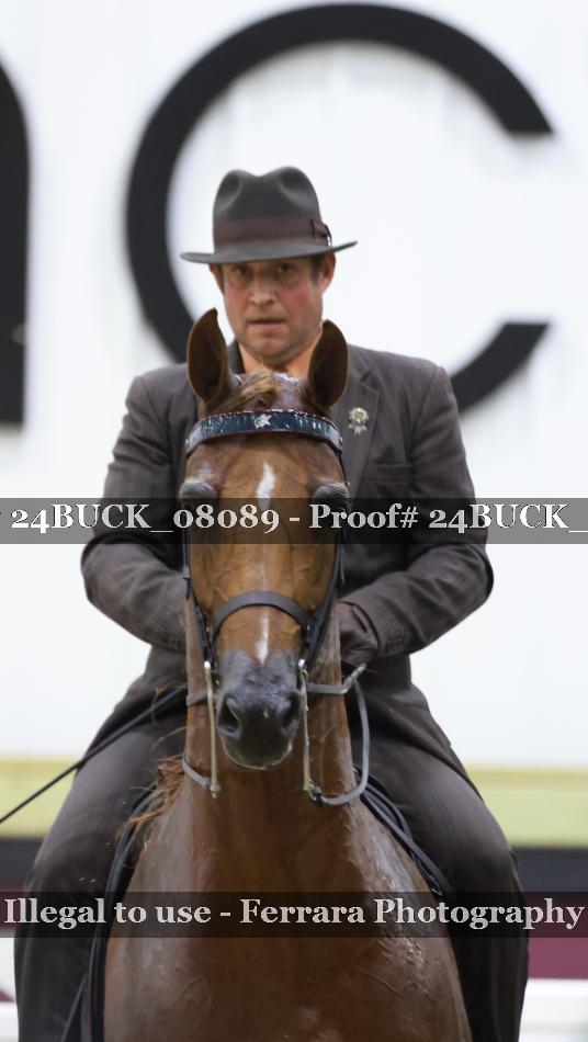 Proof 24BUCK_08089