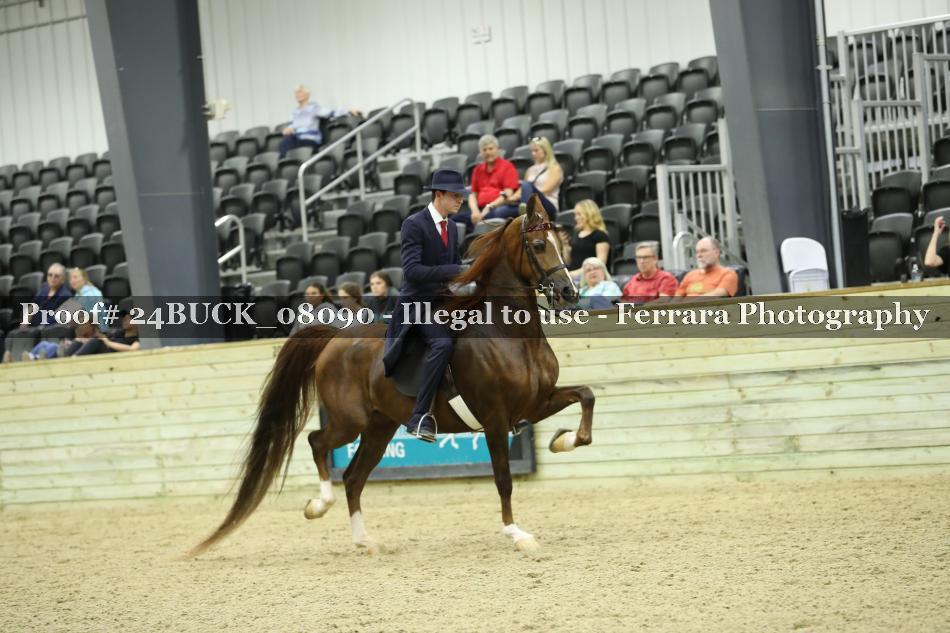 Proof 24BUCK_08090