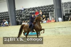 24BUCK_08090 proof