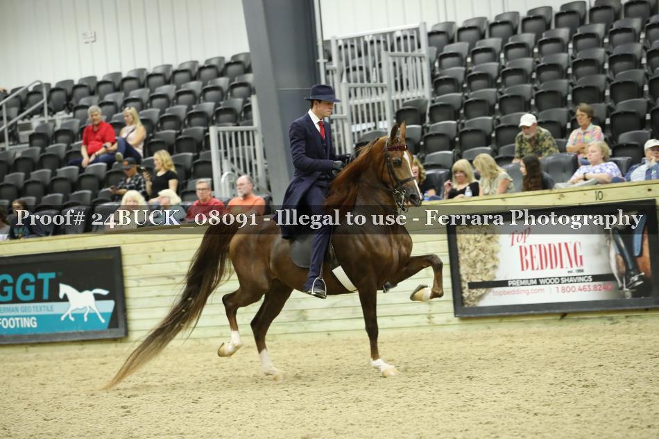 Proof 24BUCK_08091