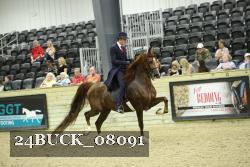 24BUCK_08091 proof