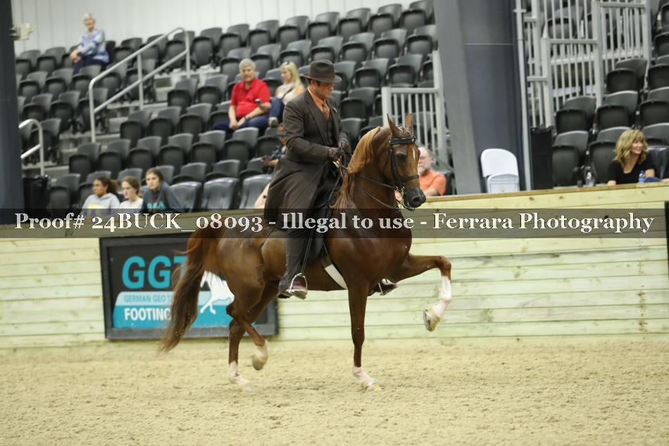 Proof 24BUCK_08093