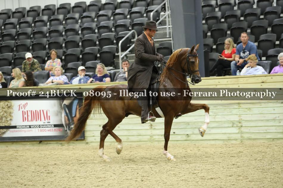 Proof 24BUCK_08095