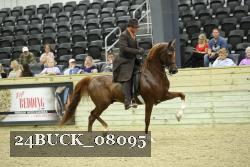 24BUCK_08095 proof
