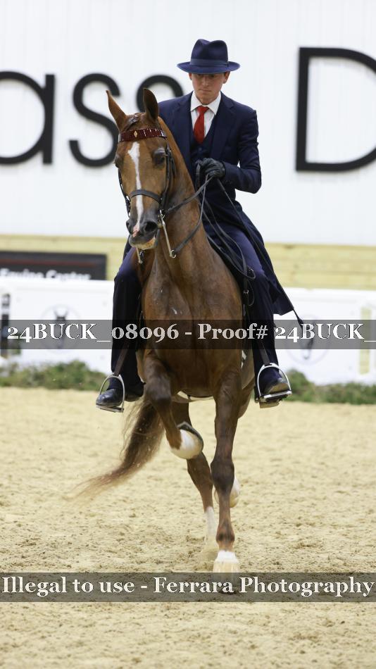 Proof 24BUCK_08096