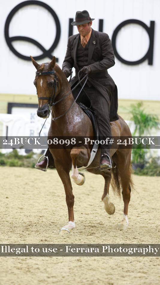 Proof 24BUCK_08098