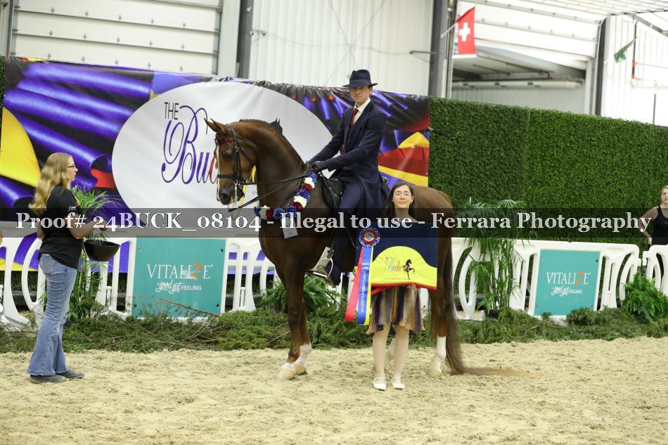 Proof 24BUCK_08104