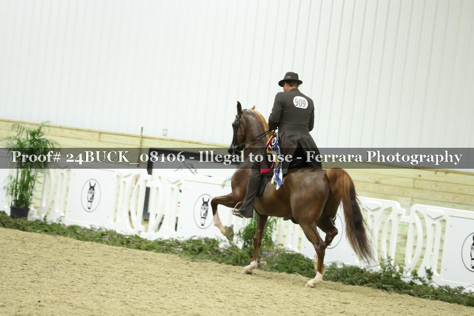 Proof 24BUCK_08106