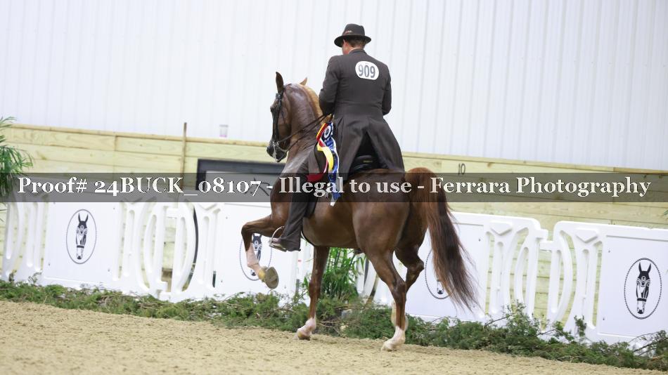 Proof 24BUCK_08107