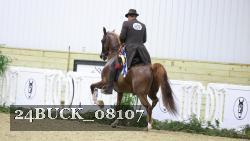 24BUCK_08107 proof