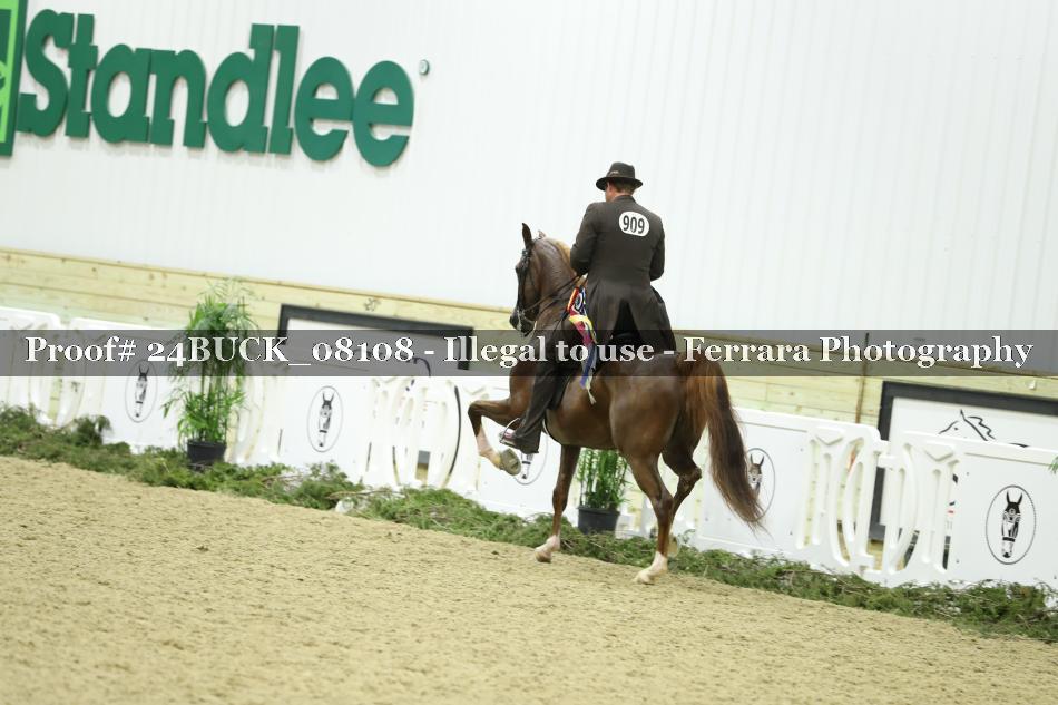 Proof 24BUCK_08108