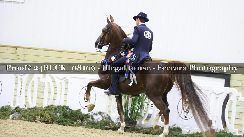 Proof 24BUCK_08109