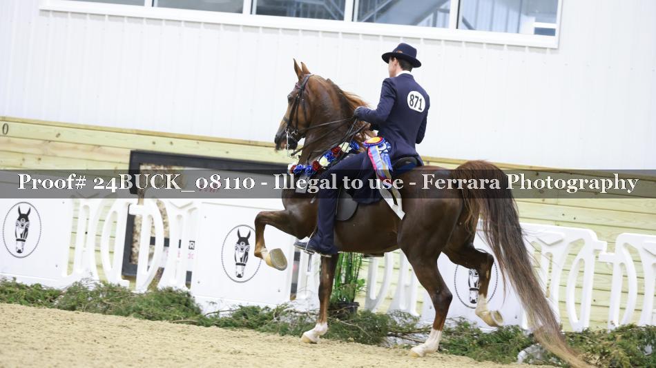Proof 24BUCK_08110