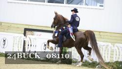 24BUCK_08110 proof