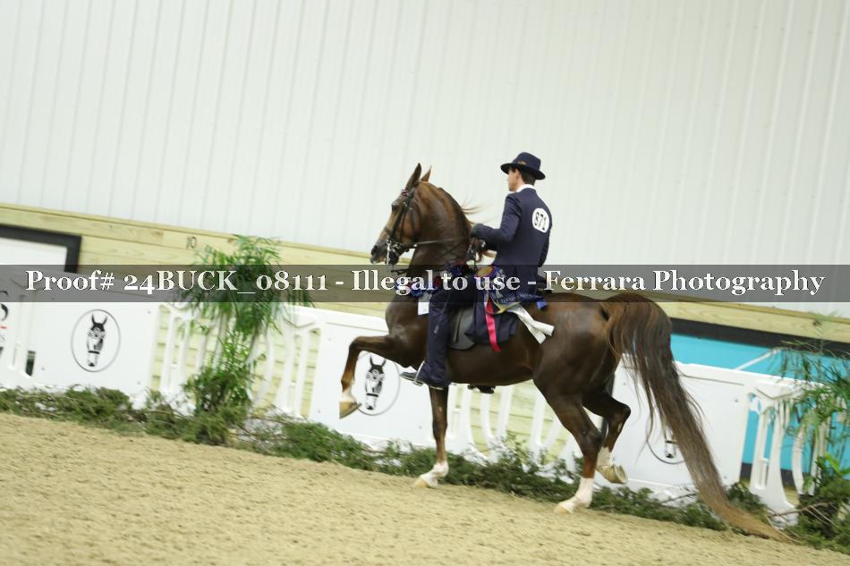 Proof 24BUCK_08111