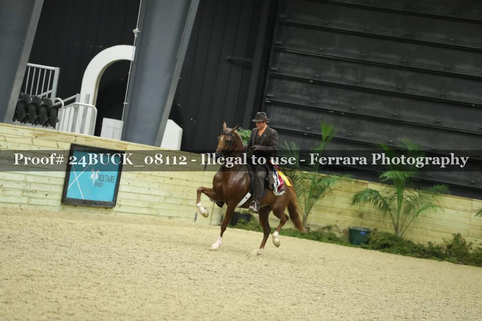 Proof 24BUCK_08112