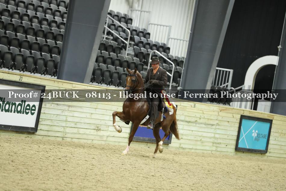 Proof 24BUCK_08113