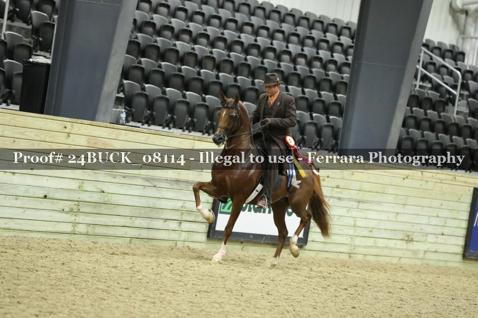 Proof 24BUCK_08114