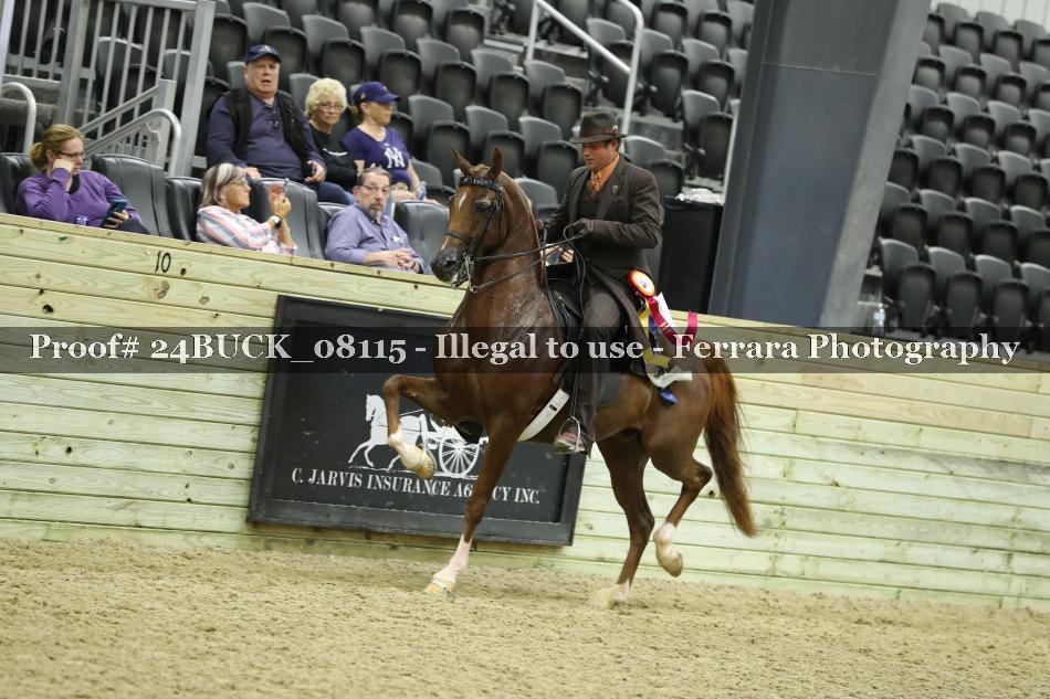Proof 24BUCK_08115