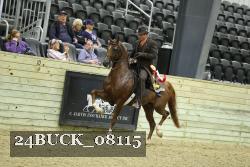 24BUCK_08115 proof