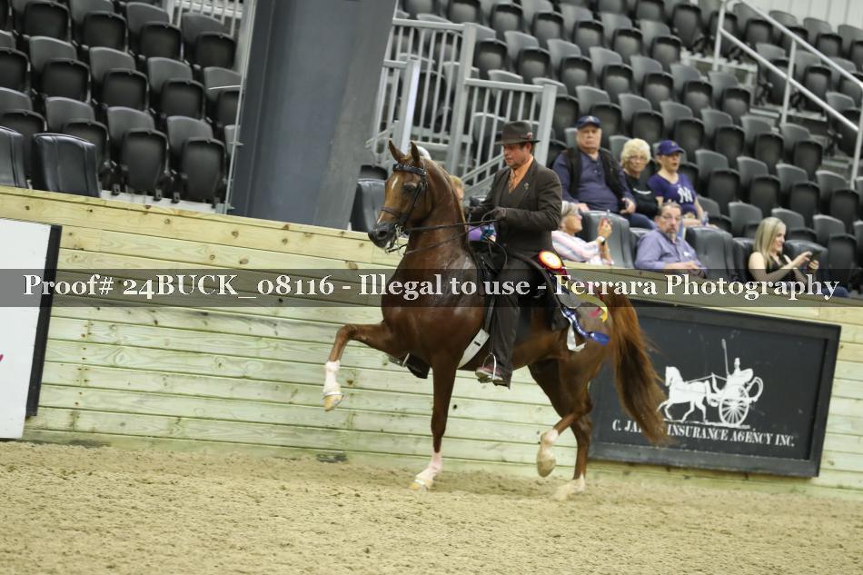 Proof 24BUCK_08116