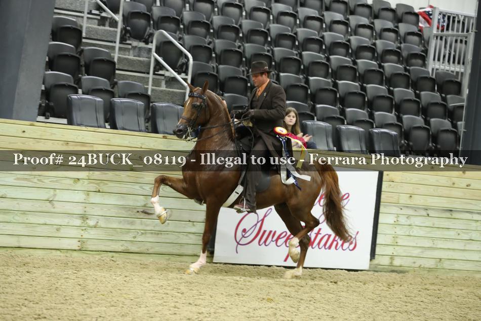 Proof 24BUCK_08119