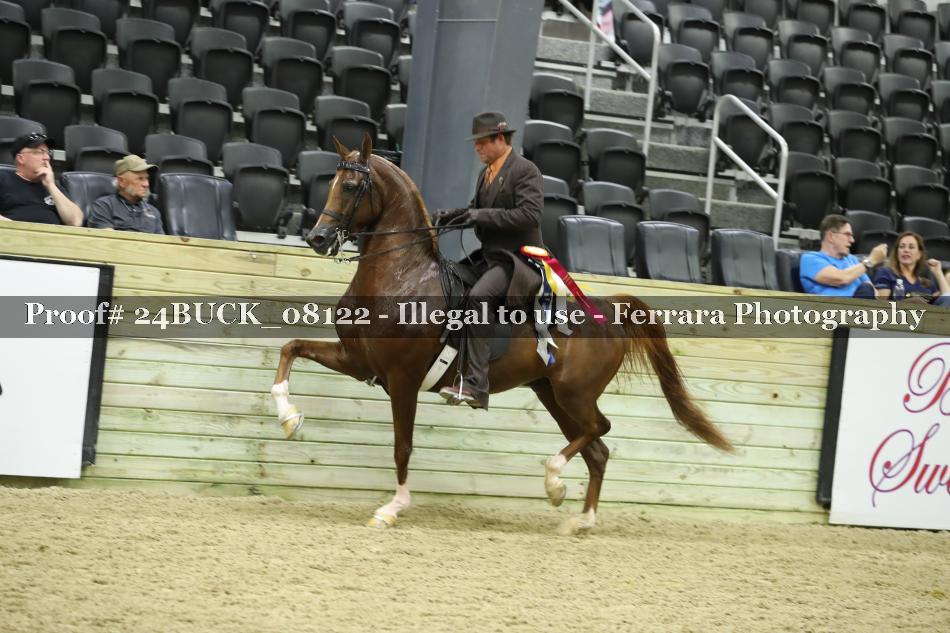 Proof 24BUCK_08122