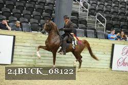 24BUCK_08122 proof