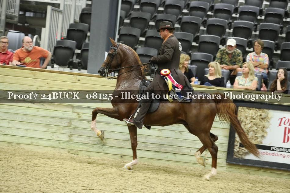 Proof 24BUCK_08125