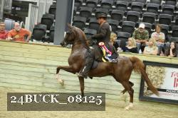 24BUCK_08125 proof
