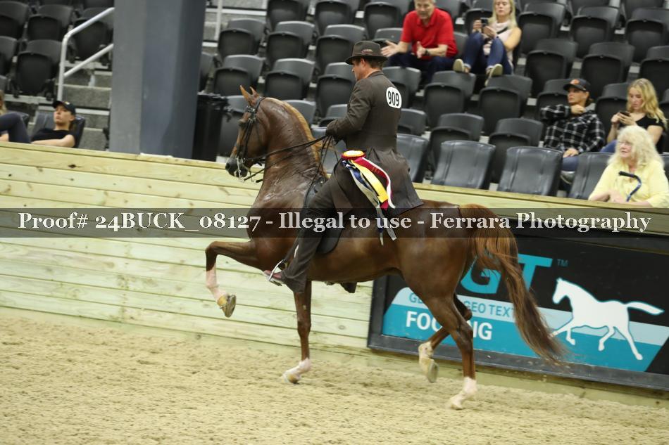 Proof 24BUCK_08127