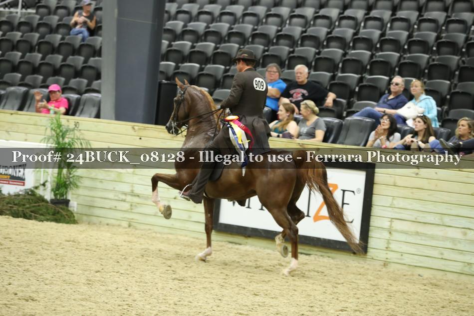 Proof 24BUCK_08128