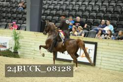 24BUCK_08128 proof