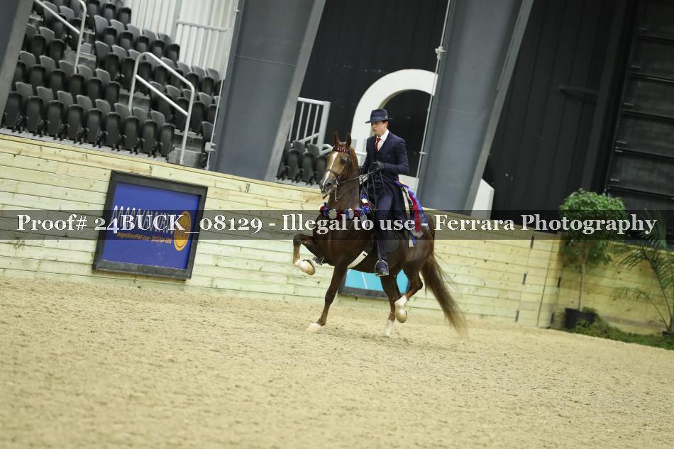 Proof 24BUCK_08129