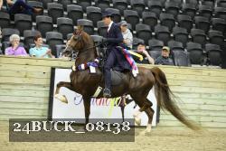 24BUCK_08138 proof