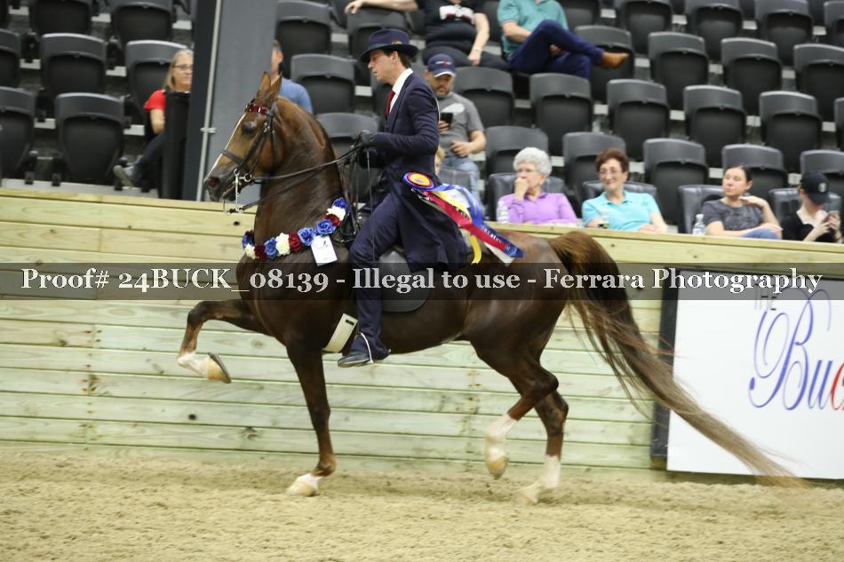 Proof 24BUCK_08139