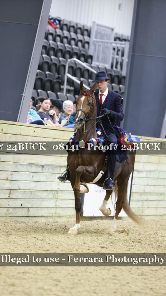 Proof 24BUCK_08141