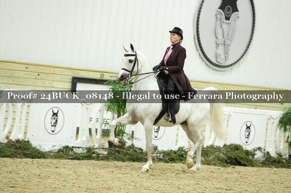 Proof 24BUCK_08148