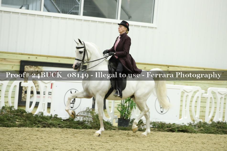 Proof 24BUCK_08149