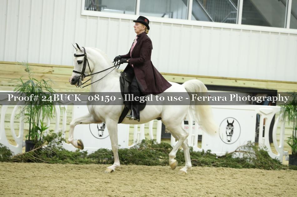 Proof 24BUCK_08150