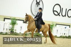 24BUCK_08153 proof